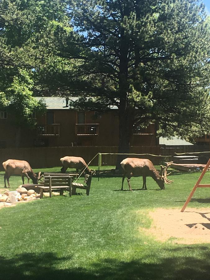 Riverview Pines Villa Estes Park Eksteriør bilde